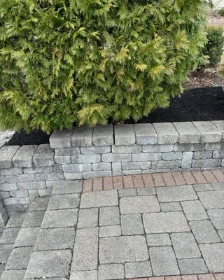 Sette Bello Landscaping Logo