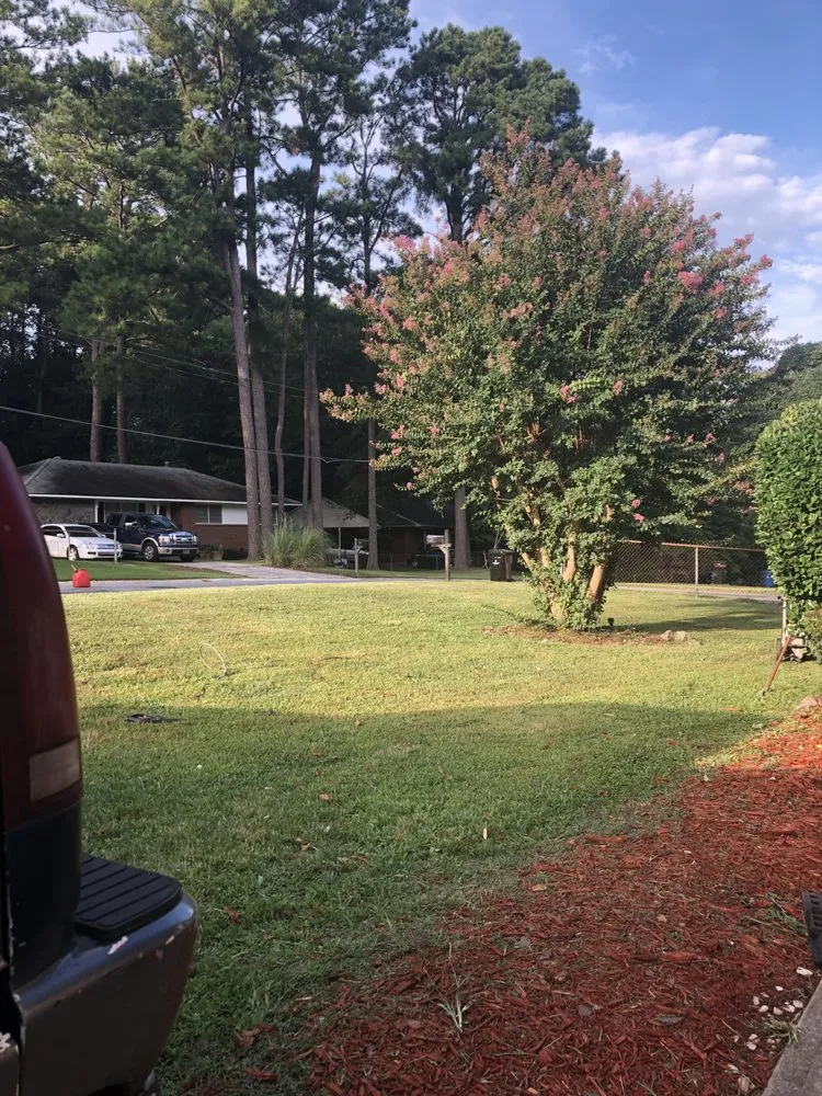 Expert lawn mowing service in Riverdale, GA by Settle For Less Lawncare