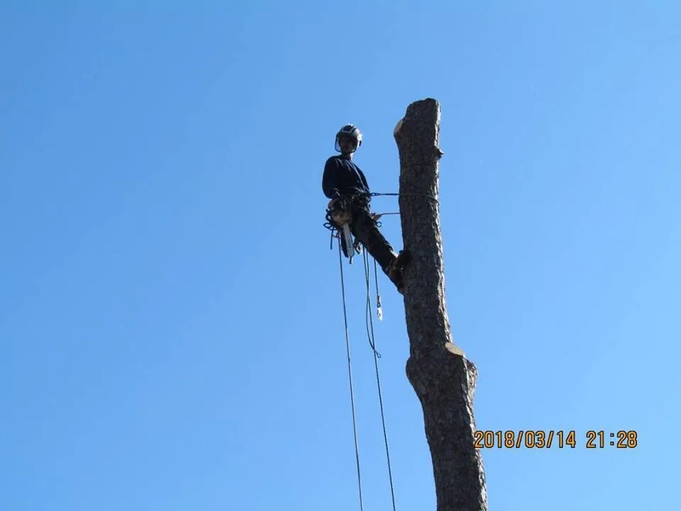 Reliable garden landscaping for outdoor upgrades across Newport, NC - Settle Tree Service