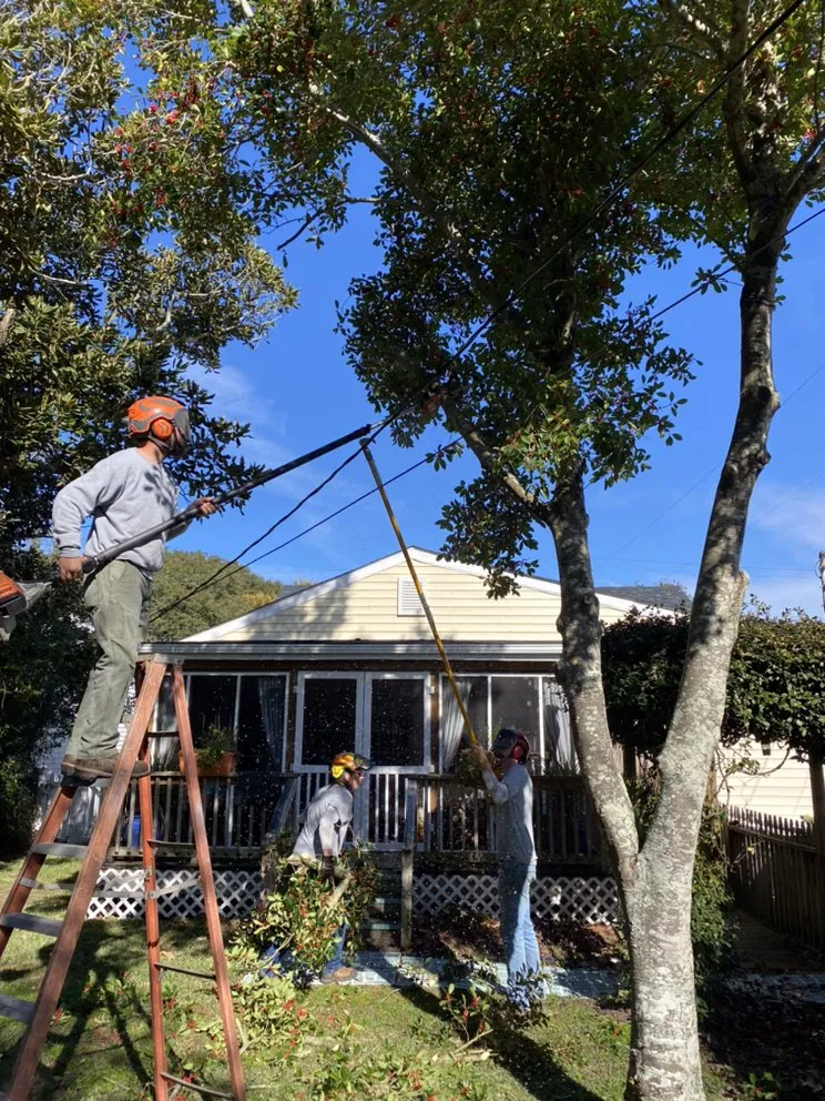 Reliable landscape design for residential properties in Newport, NC by Settle Tree Service