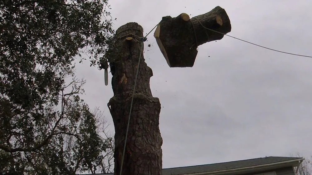 Professional outdoor landscaping for residential properties across Newport, NC - Settle Tree Service