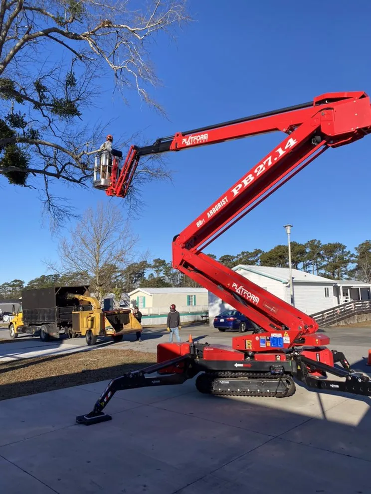 Trusted yard maintenance for residential properties in Newport, NC by Settle Tree Service