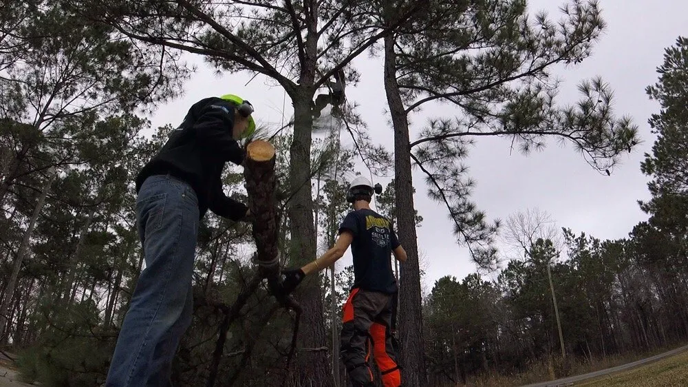 Local lawn mowing service experts serving Newport, NC - Settle Tree Service