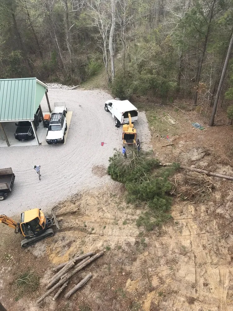 Top-rated lawn mowing service for year-round maintenance across Newport, NC - Settle Tree Service