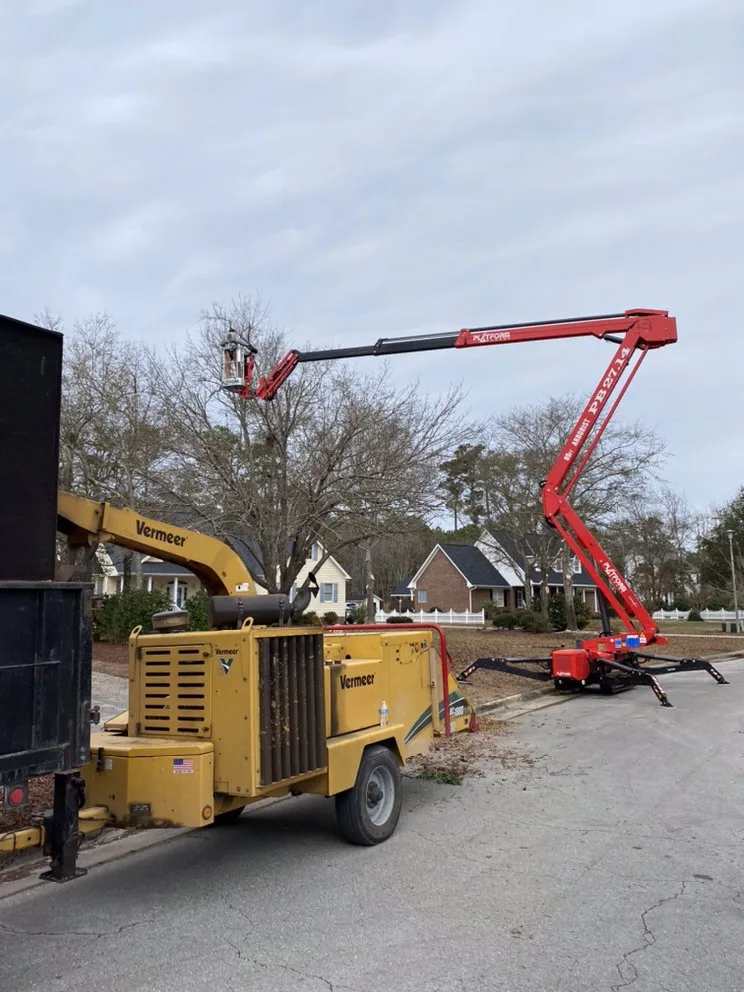 Trusted garden landscaping experts serving Newport, NC - Settle Tree Service