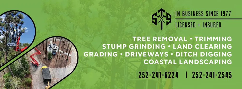 Local lawn mowing service in Newport, NC - Settle Tree Service