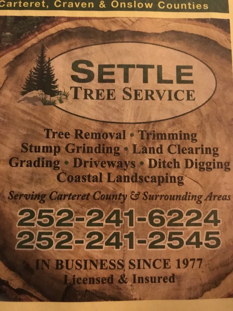 Trusted outdoor landscaping in Newport, NC - Settle Tree Service