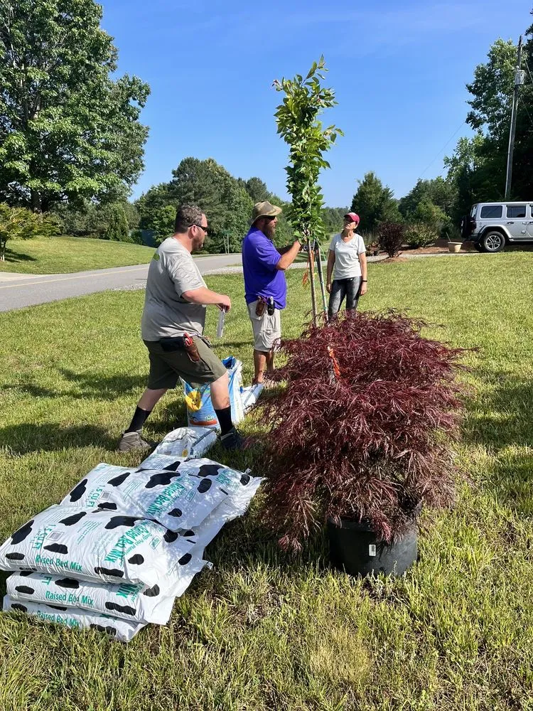 Expert landscaping services in Valdese, NC - Settlemyre Nursery