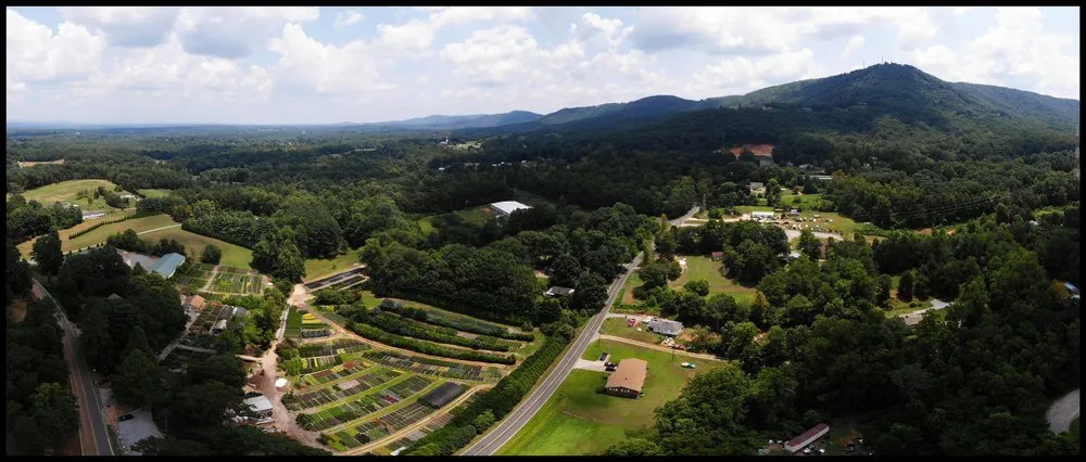 Professional yard maintenance in Valdese, NC - Settlemyre Nursery