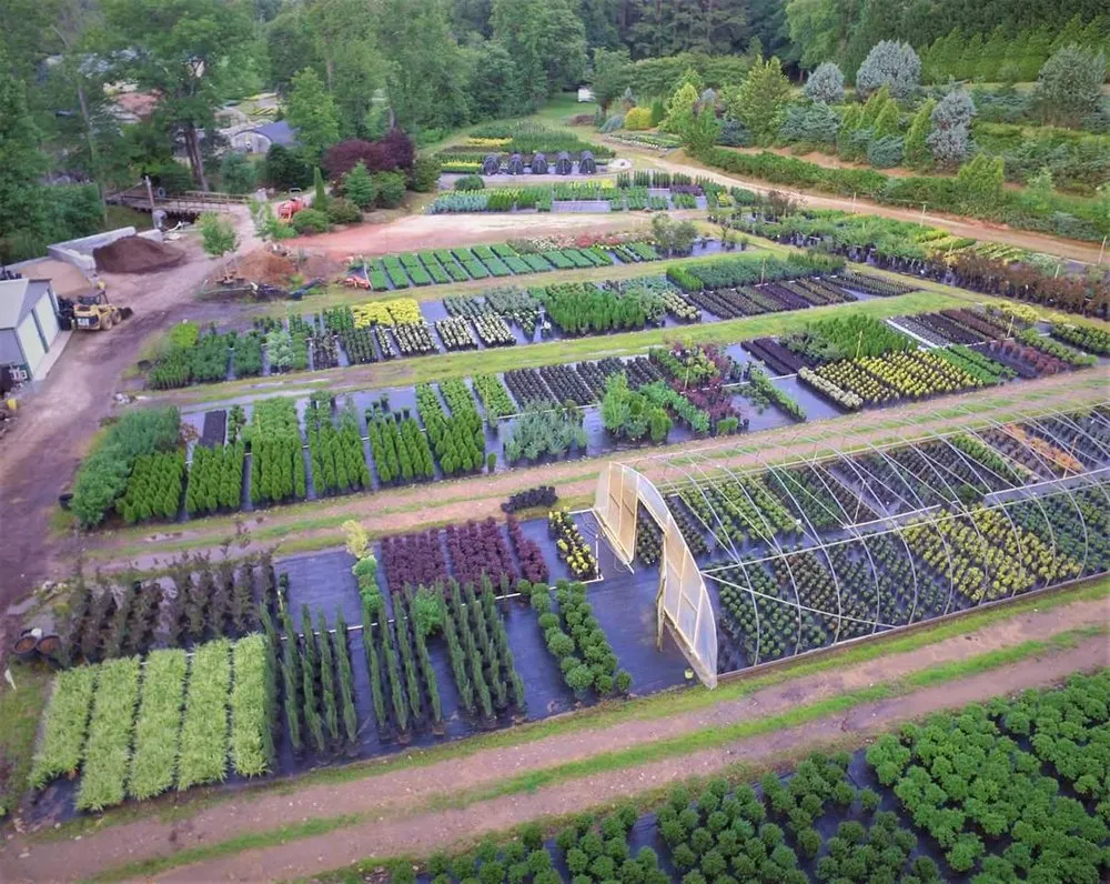 Local garden landscaping in Valdese, NC by Settlemyre Nursery