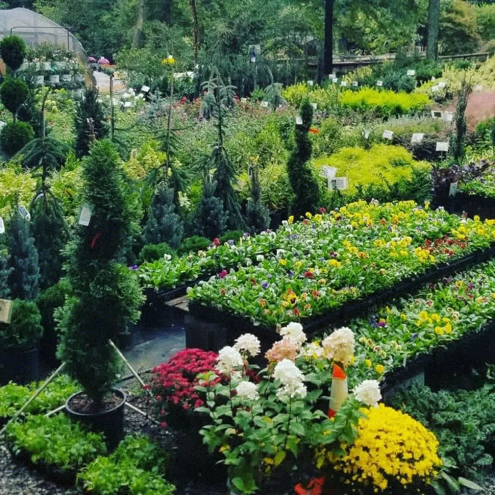 Trusted lawn mowing service experts serving Valdese, NC - Settlemyre Nursery