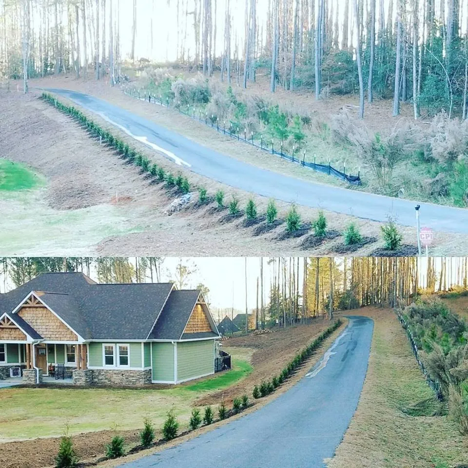 Reliable yard cleanup service experts serving Valdese, NC - Settlemyre Nursery