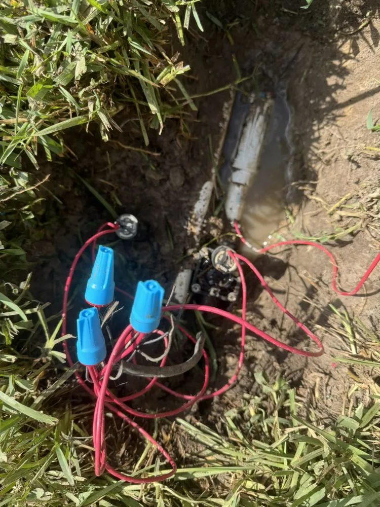 Affordable lawn care service in Beaumont, TX by Setx Land Solutions