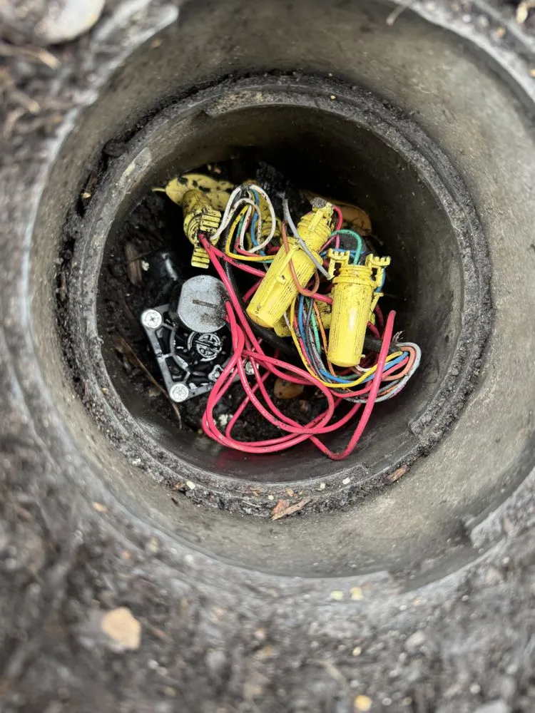 Local landscaping services in Beaumont, TX - Setx Land Solutions