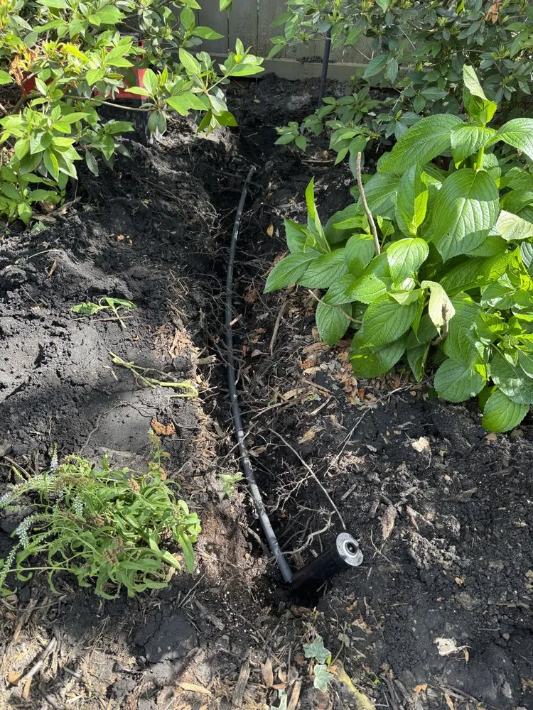 Expert lawn mowing service in Beaumont, TX - Setx Land Solutions