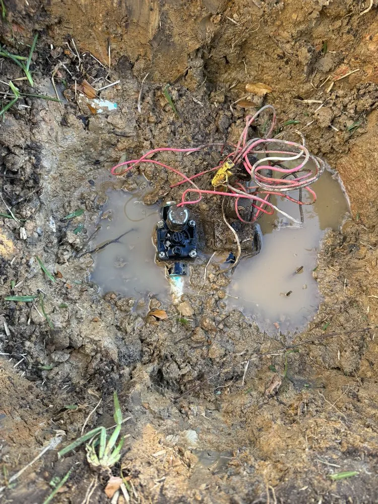 Professional residential landscaping in Beaumont, TX by Setx Land Solutions