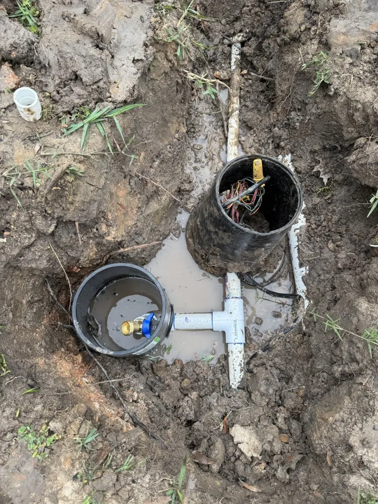 Professional lawn care service in Beaumont, TX by Setx Land Solutions