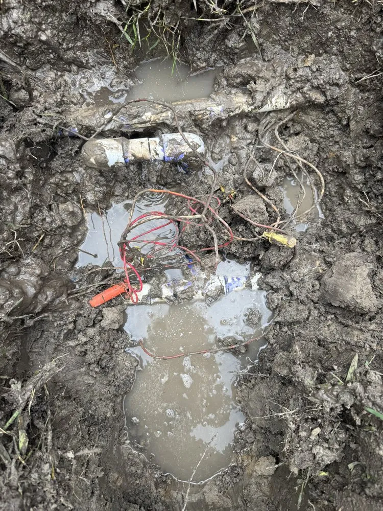 Top-rated yard maintenance experts serving Beaumont, TX - Setx Land Solutions