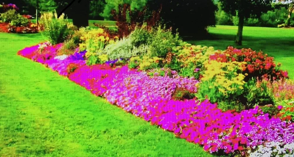 Reliable yard cleanup service for outdoor upgrades in Leesburg, VA by Seven Brothers Landscaping