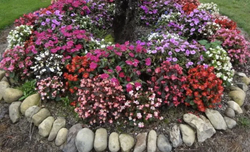 Top-rated outdoor landscaping for year-round maintenance across Leesburg, VA - Seven Brothers Landscaping