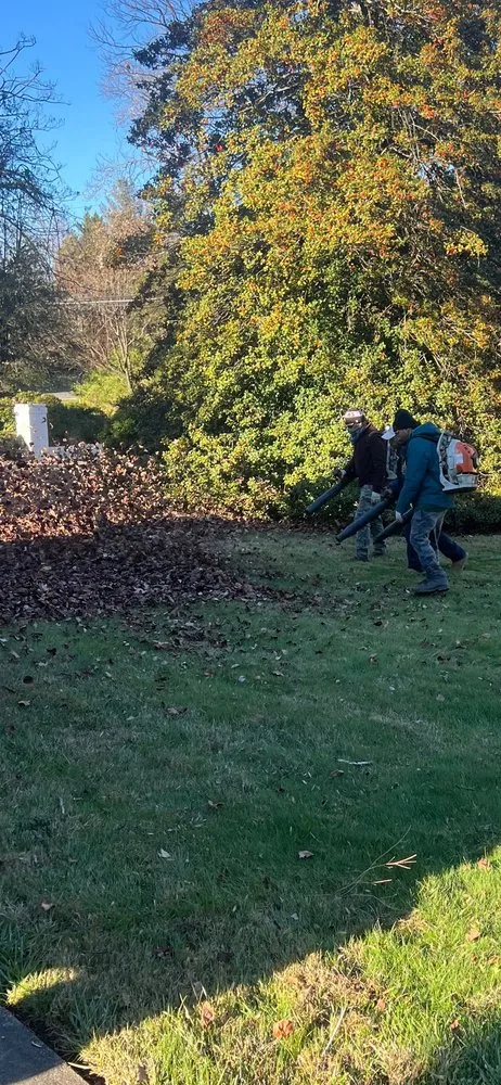 Affordable lawn care service with custom design in Leesburg, VA by Seven Brothers Landscaping