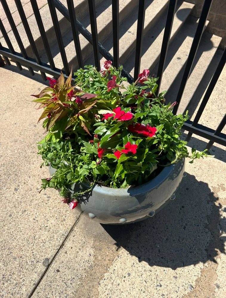 Trusted residential landscaping for year-round maintenance across Leesburg, VA - Seven Brothers Landscaping