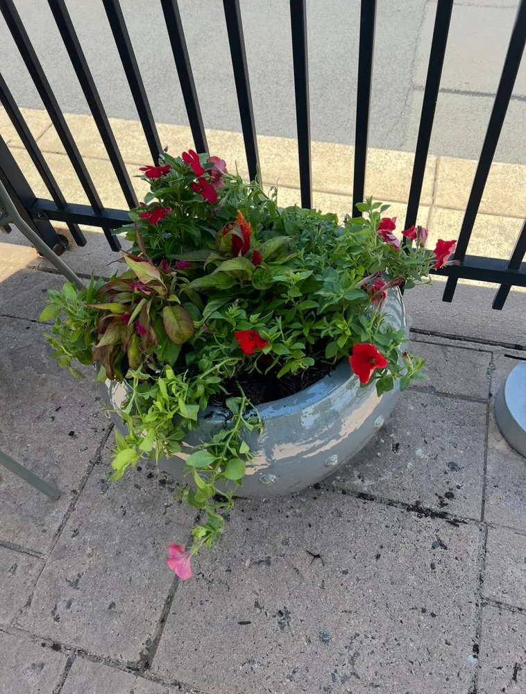 Custom lawn mowing service in Leesburg, VA by Seven Brothers Landscaping