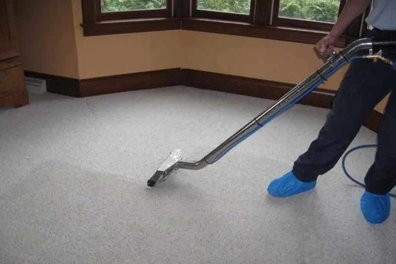 Reliable yard maintenance experts serving Lakeland, FL - Seven Dragons