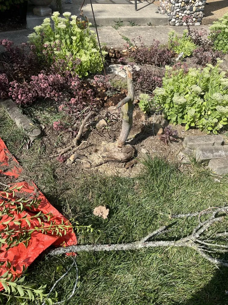 Custom landscape design in Reynoldsburg, OH by Seven J Home And Lawn