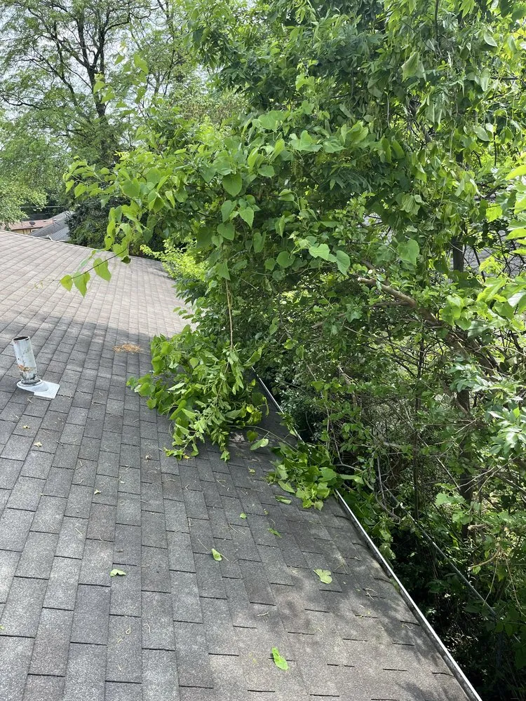 Reliable lawn mowing service experts serving Reynoldsburg, OH - Seven J Home And Lawn