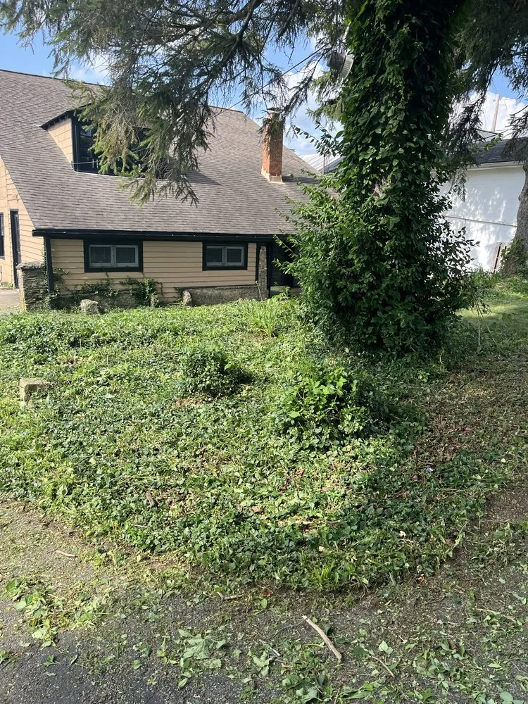 Local landscape design experts serving Reynoldsburg, OH - Seven J Home And Lawn