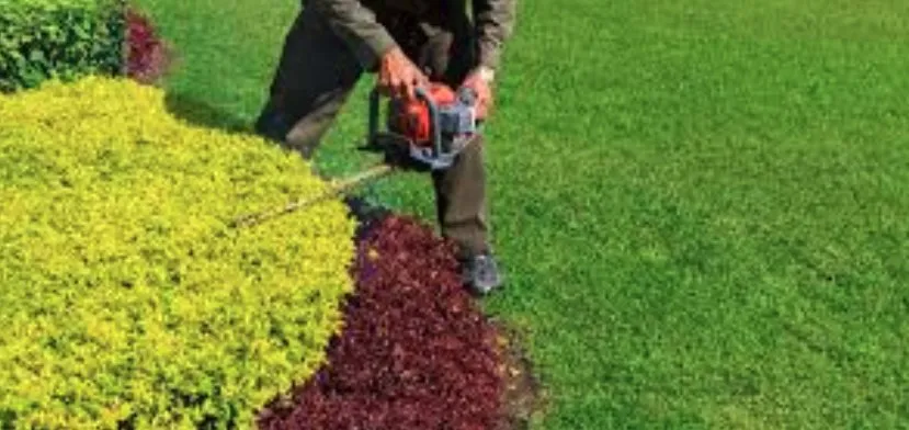 Expert residential landscaping in Elizabeth City, NC by Seven J's Trucking