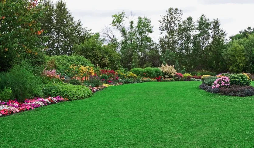 Reliable lawn mowing service in Elizabeth City, NC by Seven J's Trucking