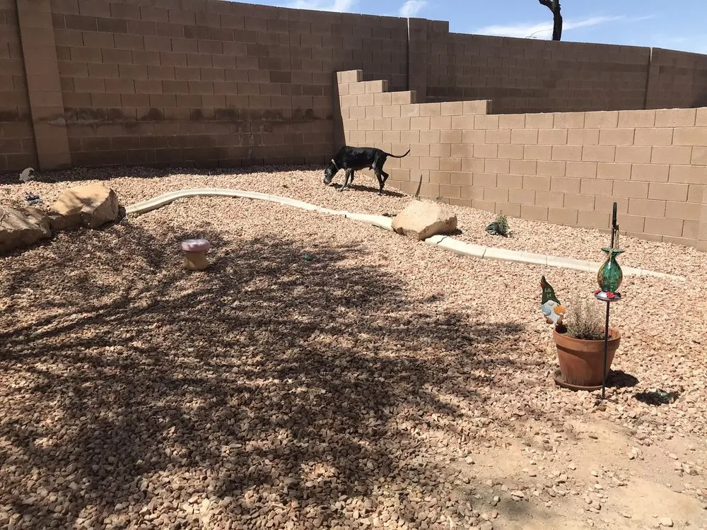 Trusted lawn mowing service for outdoor upgrades across Las Vegas, NV - Seven Landscaping