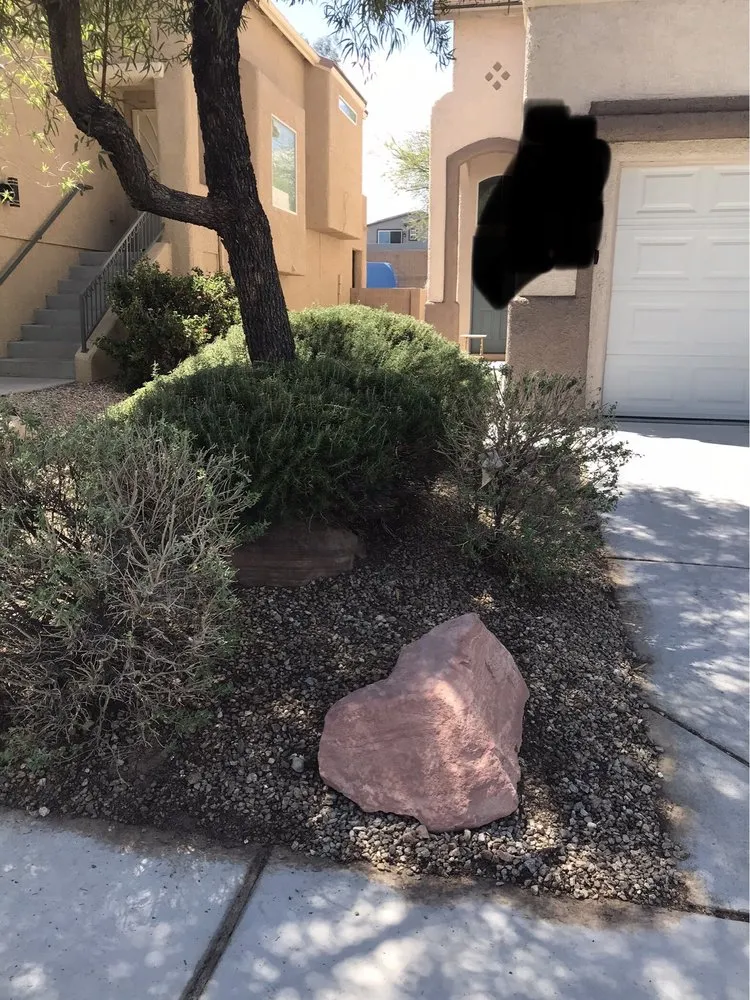 Affordable landscape installation in Las Vegas, NV - Seven Landscaping