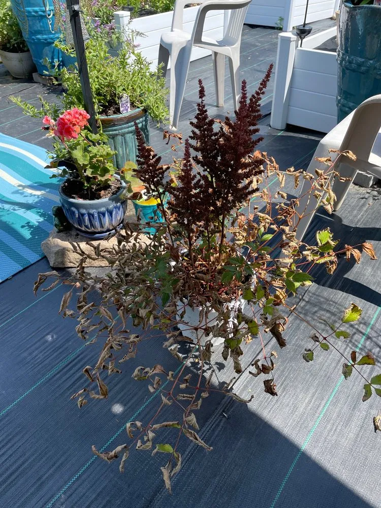 Reliable outdoor landscaping in Monroe, CT by Seven Maples Gift And Garden