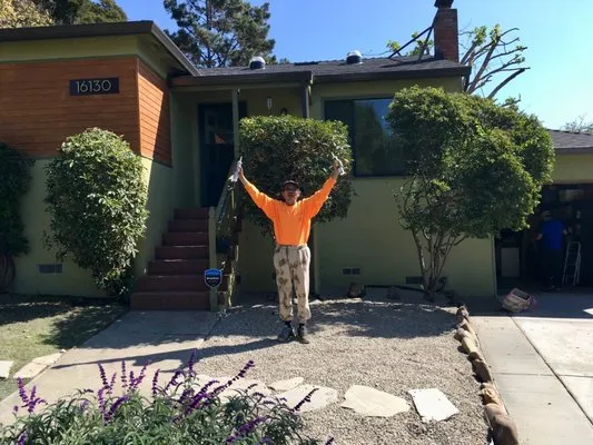 Seven Orange Landscaping Logo