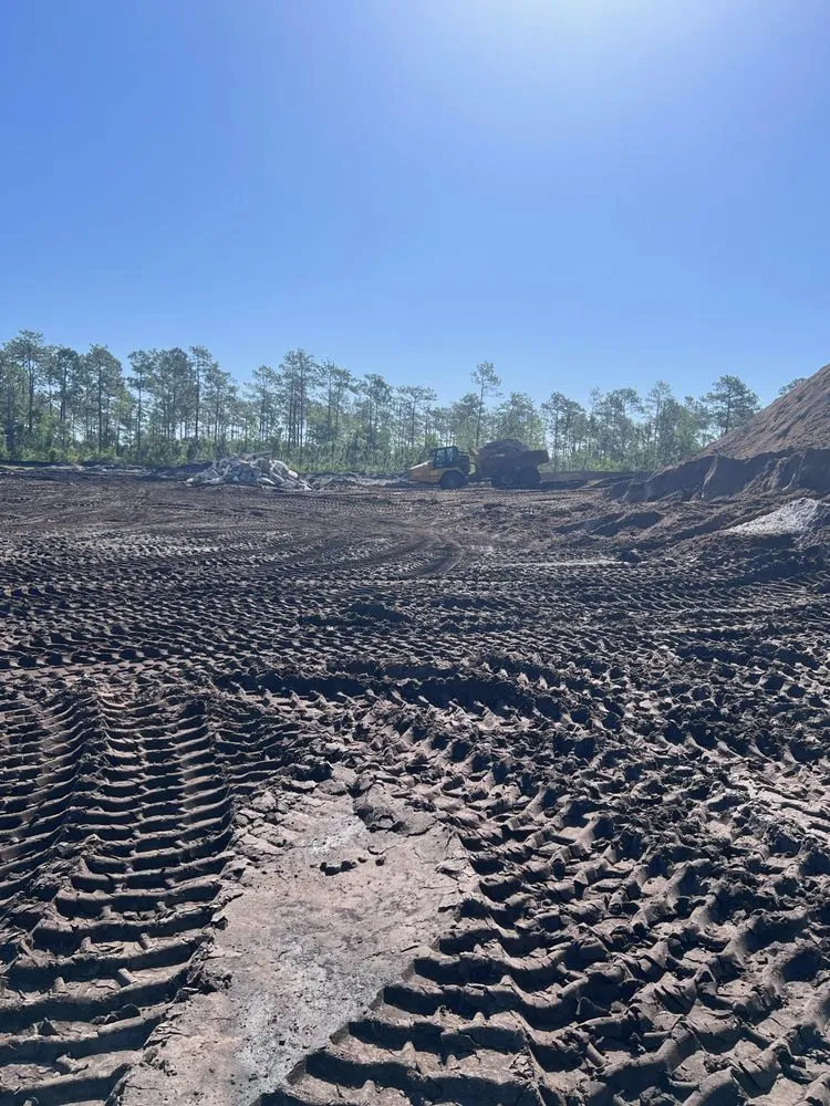 Professional landscaping services for beautiful yards in Jacksonville, FL by Sevenfifteen dirt