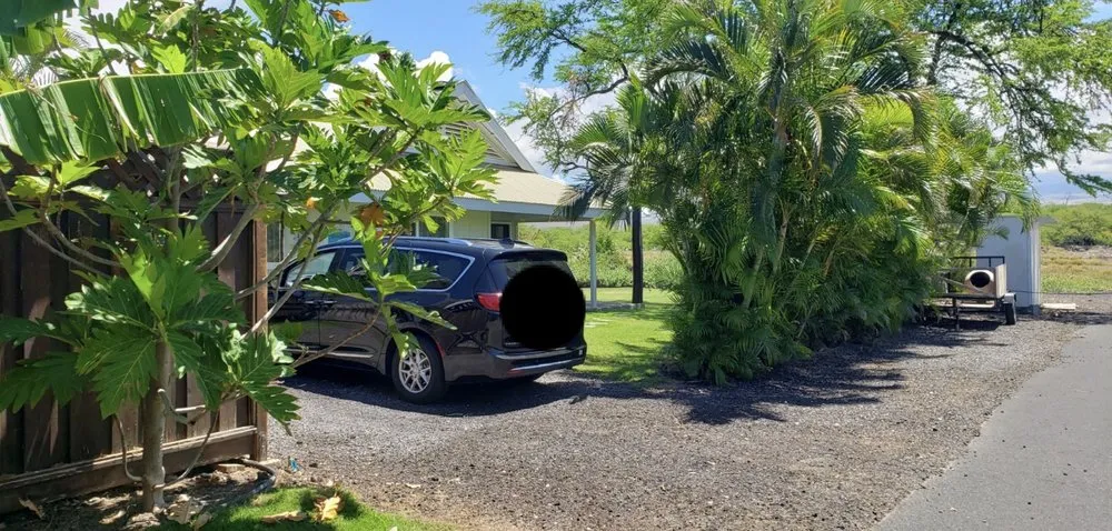Top-rated yard cleanup service for year-round maintenance across Honokaa, HI - Sevens Landscaping