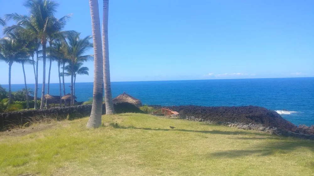 Professional lawn mowing service for beautiful yards in Honokaa, HI by Sevens Landscaping