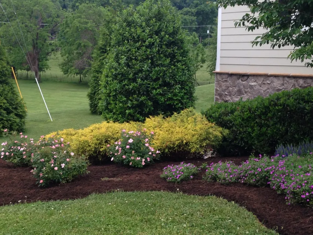 Top-rated yard maintenance in Madison, VA - Seventh Heaven Landscaping and Nurseries Inc