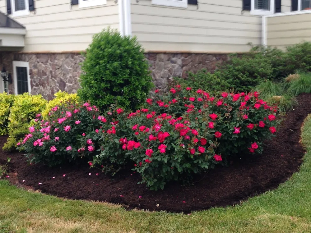 Top-rated landscaping services experts serving Madison, VA - Seventh Heaven Landscaping and Nurseries Inc
