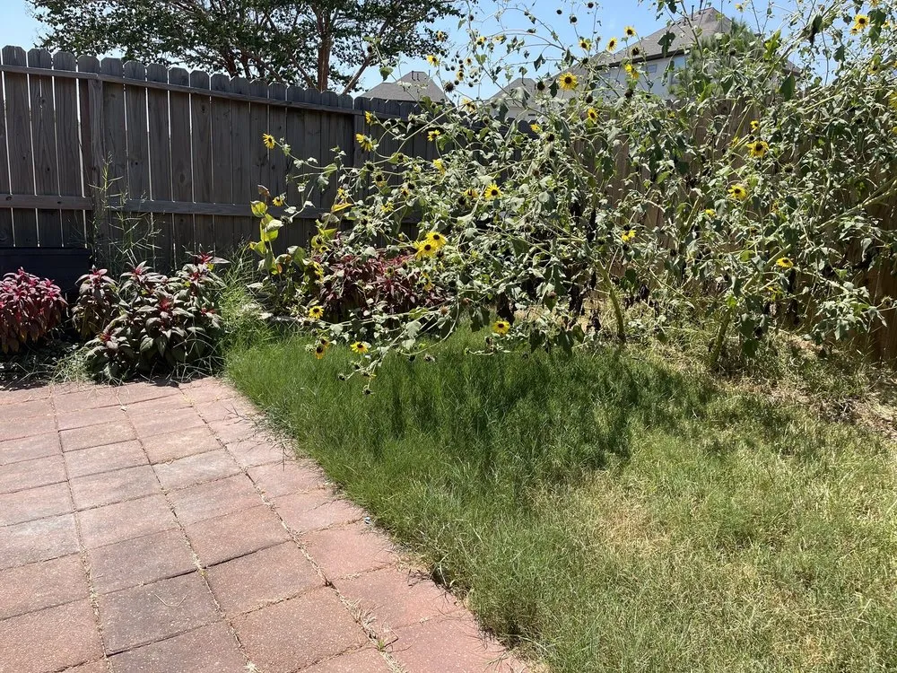 Local lawn mowing service in Spring, TX - Seventree Landscaping
