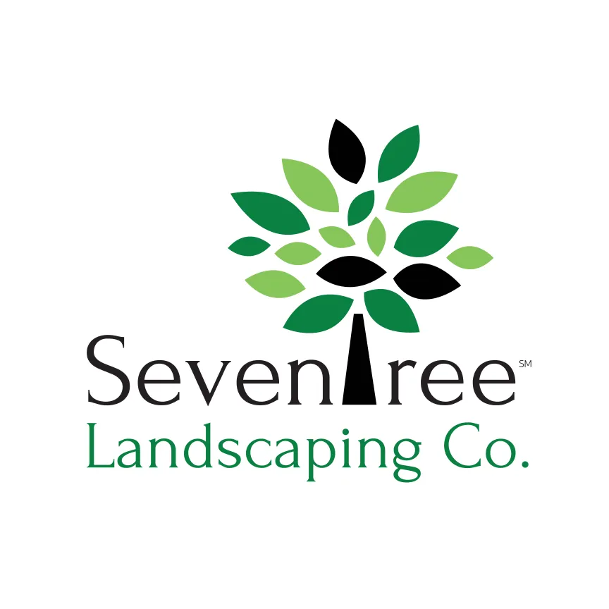 Trusted yard cleanup service for beautiful yards across Spring, TX - Seventree Landscaping