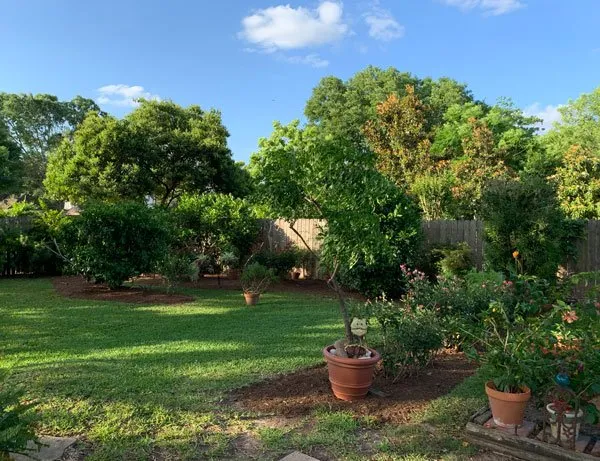 Affordable landscaping services for outdoor upgrades in Spring, TX by Seventree Landscaping