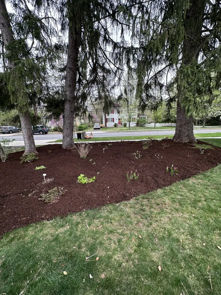 Top-rated residential landscaping in Severna Park, MD by Severna Scapes