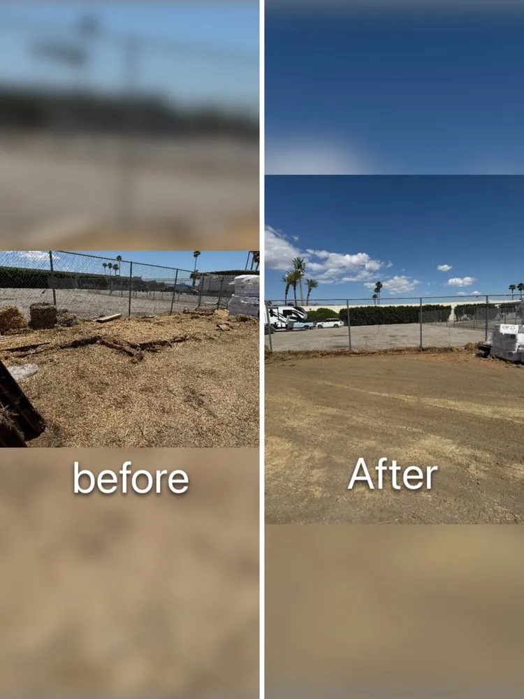 Custom lawn mowing service experts serving Palm Desert, CA - Sevilla Brothers Gardening and Landscaping