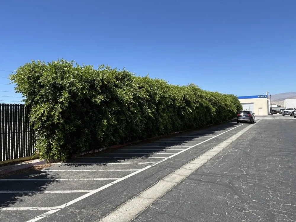 Expert landscape installation for outdoor upgrades across Palm Desert, CA - Sevilla Brothers Gardening and Landscaping