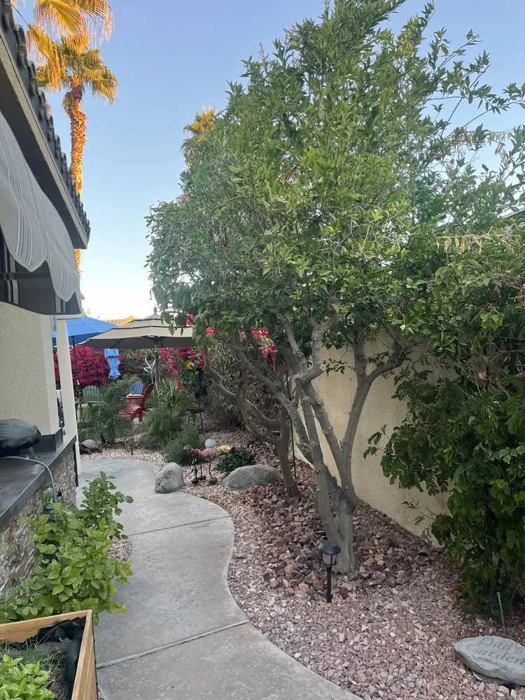 Reliable landscape installation with custom design across Palm Desert, CA - Sevilla Brothers Gardening and Landscaping