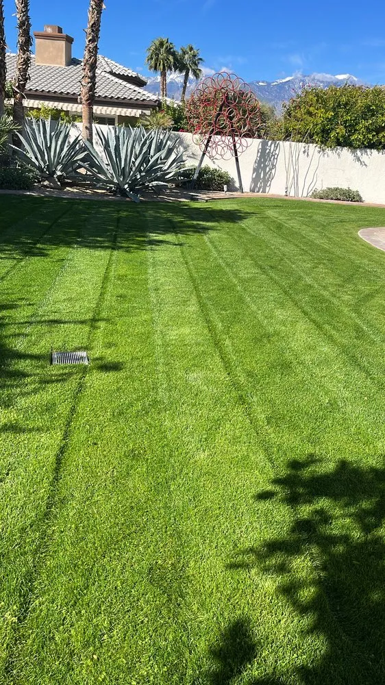 Expert residential landscaping in Palm Desert, CA by Sevilla Brothers Gardening and Landscaping